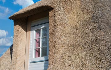 Skerryford thatch roof disadvantages